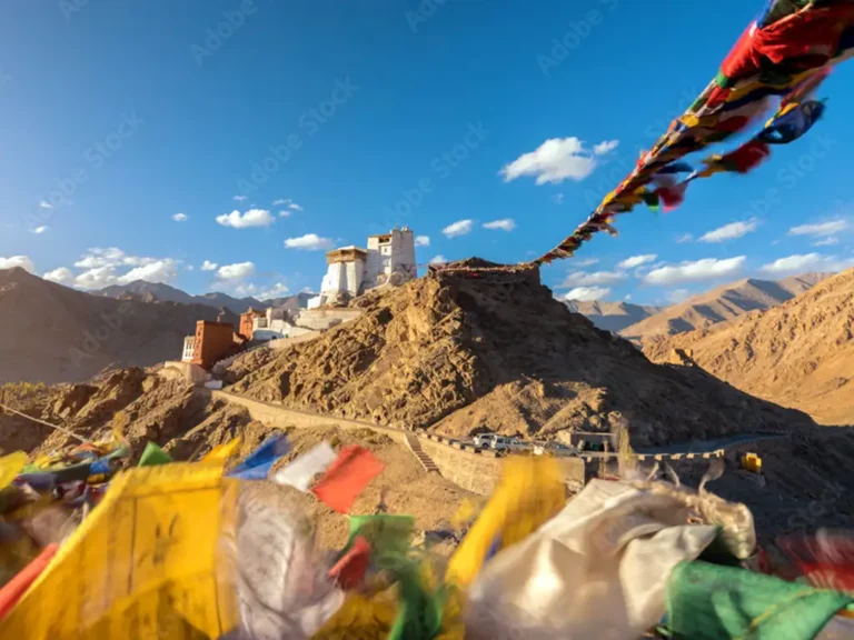 ladakh tour package